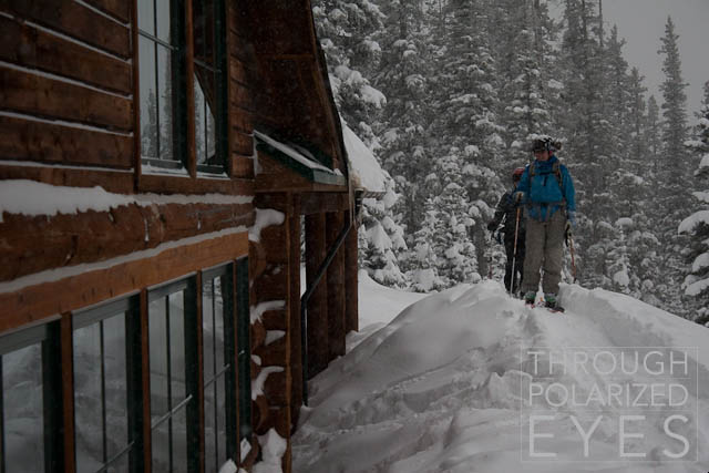 Coming in for a lunch break