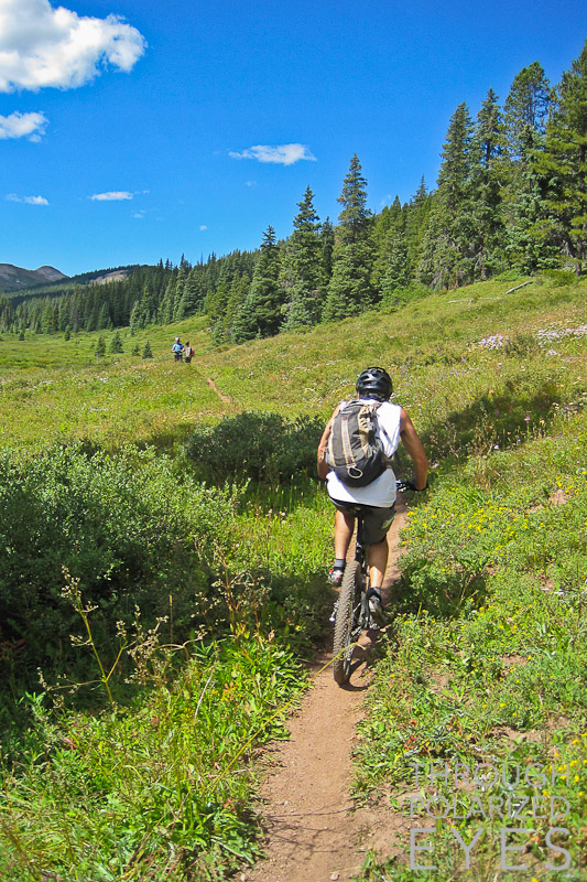 Larry heading towards the alpine