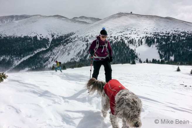 2014-02-23 10.29.54-1 1029